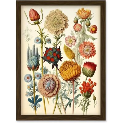 Artery8 - Vintage Botanical Ernst Haeckel Inspired Plant Study - Wall Art Print Artery8 - Vintage Botanical Ernst Haeckel Inspired Plant Study - Wall Art Print