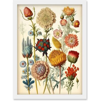 Artery8 - Haeckel Plant Study - Vintage - A4 - Art Print Artery8 - Haeckel Plant Study - Vintage - A4 - Art Print