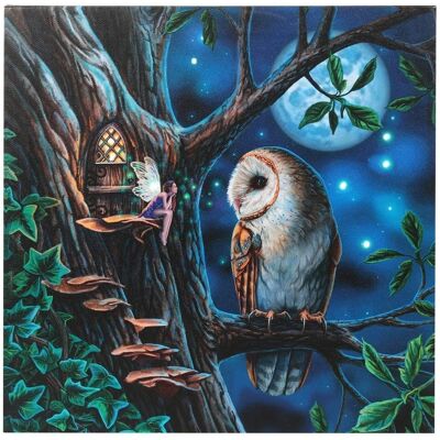 Lisa Parker Fairy Tales Canvas Framed Plaque - Light Up Lisa Parker Fairy Tales Canvas Framed Plaque - Light Up