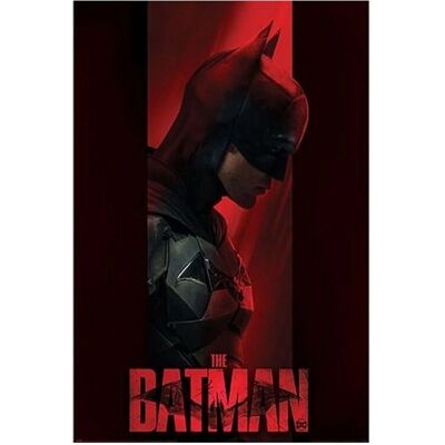 DC Comics Batman Out Of The Shadows Poster - Affiche DC Comics Batman Out Of The Shadows Poster - Affiche