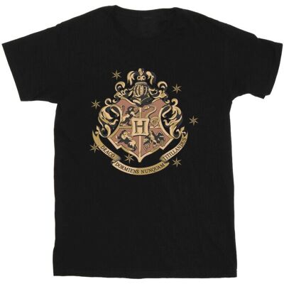 Absolute Cult Harry Potter Model XXXL Złoty herb T-Shirt - T-Shirt Absolute Cult Harry Potter Model XXXL Złoty herb T-Shirt - T-Shirt