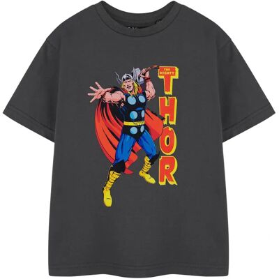 Marvel Kids Grey Thor Short Sleeve T-Shirt - Kids Marvel T-Shirt Marvel Kids Grey Thor Short Sleeve T-Shirt - Kids Marvel T-Shirt