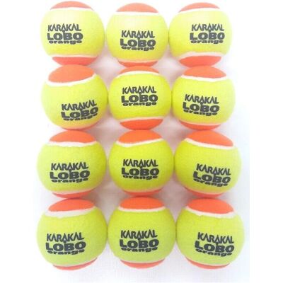 Karakal Lobo - Low compression - Yellow/Orange - Pack of 12 - Tennis balls Karakal Lobo - Low compression - Yellow/Orange - Pack of 12 - Tennis balls