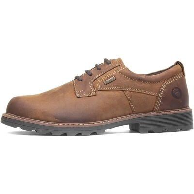 Cotswold Tadwick Wasserdichte Leder Herrenschuhe - Robuste Landarbeitsschuhe UK 12 Cotswold Tadwick Wasserdichte Leder Herrenschuhe - Robuste Landarbeitsschuhe UK 12