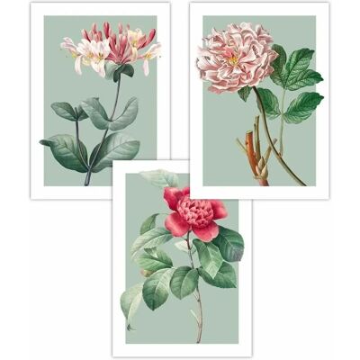 ARTZE - Vintage Flowers Honeysuckle Peony on Sage Green - Sage Green ARTZE - Vintage Flowers Honeysuckle Peony on Sage Green - Sage Green