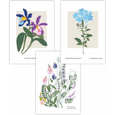ARTZE - Vintage Graphical Colourful Wild Flower Market - W50xH70 cm - 3 pieces - poster set ARTZE - Vintage Graphical Colourful Wild Flower Market - W50xH70 cm - 3 pieces - poster set