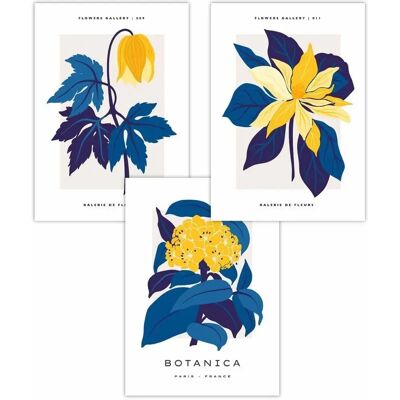 ARTZE - Navy Blue and Yellow Flower Market - Set of 3 - Poster ARTZE - Navy Blue and Yellow Flower Market - Set of 3 - Poster