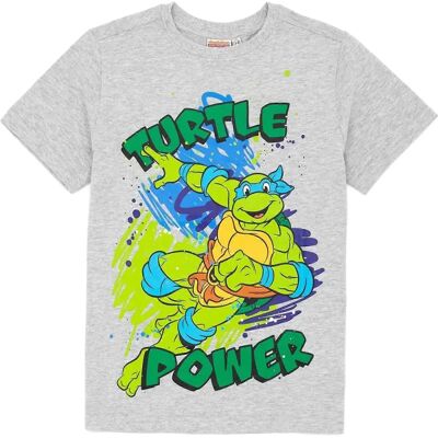 Teenage Mutant Ninja Turtles Kids T-Shirt - Pack of 2 Teenage Mutant Ninja Turtles Kids T-Shirt - Pack of 2