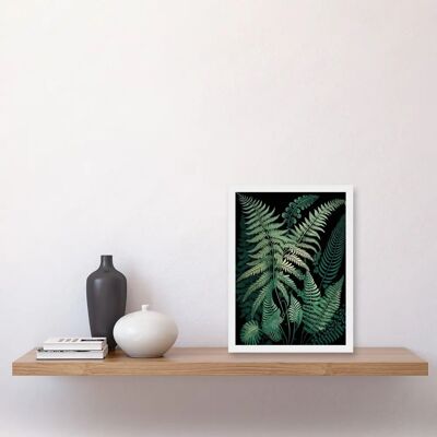 Artery8 - Ernst Haeckel Style Fern Fronds Botanical Detailed Artwork - A4 Artery8 - Ernst Haeckel Style Fern Fronds Botanical Detailed Artwork - A4