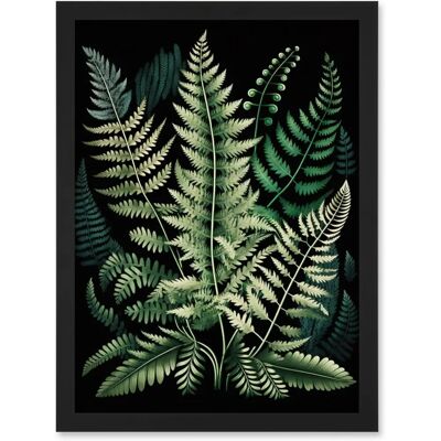 Artery8 - Fern Fronds - A4 - Framed - Wall art print Artery8 - Fern Fronds - A4 - Framed - Wall art print