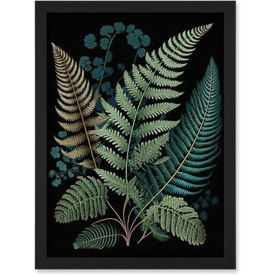 Artery8 - Leaves Fern Fronds - A4 - Framed - Wall Art Artery8 - Leaves Fern Fronds - A4 - Framed - Wall Art