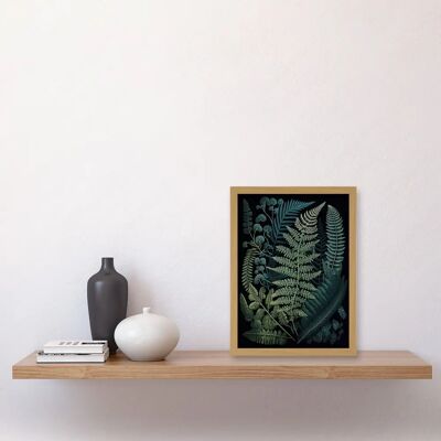 Artery8 - Leaf Illustration Fern Fronds - A4 - Wall Art Print Artery8 - Leaf Illustration Fern Fronds - A4 - Wall Art Print