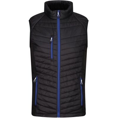 Regatta Navigate Quilted Hybrid Gilet - Black/New Royal - S-3XL Regatta Navigate Quilted Hybrid Gilet - Black/New Royal - S-3XL