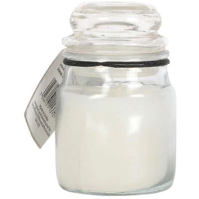 Something Different White Sage Candle - Candle Something Different White Sage Candle - Candle