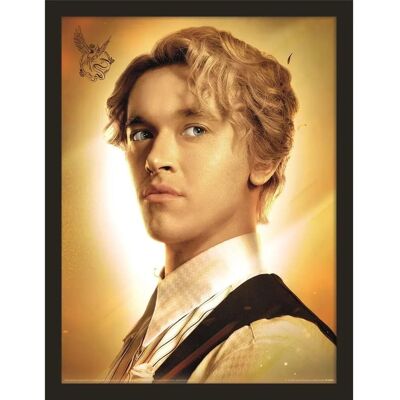 Pertemba FR - Home The Hunger Games: The Ballad of Songbirds & Snakes Framed Poster - Framed Pertemba FR - Home The Hunger Games: The Ballad of Songbirds & Snakes Framed Poster - Framed