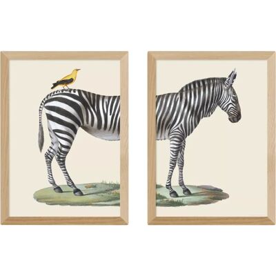 EAST END PRINTS - Zebra & Bird - Framed - Set of 2 - Print EAST END PRINTS - Zebra & Bird - Framed - Set of 2 - Print