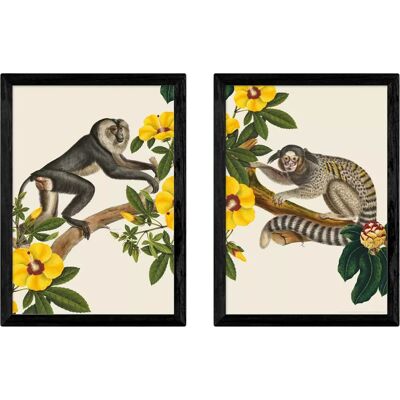 EAST END PRINTS - Monkeys - Framed - Set of 2 - Print EAST END PRINTS - Monkeys - Framed - Set of 2 - Print