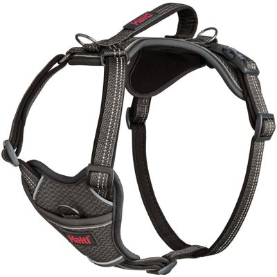 Halti Anatomy Dog Harness - Grey XS Halti Anatomy Dog Harness - Grey XS