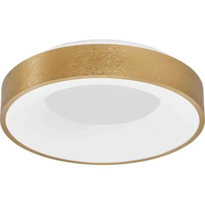 NOVA LUCE Rando Thin 38cm Gold LED Light - Ceiling Lamp NOVA LUCE Rando Thin 38cm Gold LED Light - Ceiling Lamp