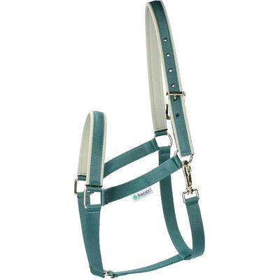 Halterie pour Cheval Bucas Dublin - Confortable, Résistante et Imperméable - Publicité Halterie pour Cheval Bucas Dublin - Confortable, Résistante et Imperméable - Publicité