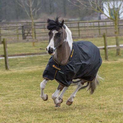 Bucas Irish Turnout Light 50g Schwarz/Gold - Weidedecke Bucas Irish Turnout Light 50g Schwarz/Gold - Weidedecke