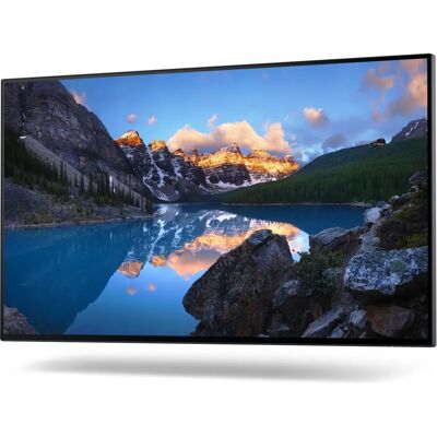 Monitor IPS Dell U2422H 24 pollici - Full HD - Argento e Nero - VESA Monitor IPS Dell U2422H 24 pollici - Full HD - Argento e Nero - VESA