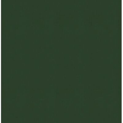 WOW Vliestapete Uni ElegantFloral - Grün - 0,52m x 10,05m WOW Vliestapete Uni ElegantFloral - Grün - 0,52m x 10,05m