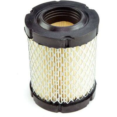 Oregon 796032 - Wit luchtfilter voor Briggs & Stratton - Luchtfilter Oregon 796032 - Wit luchtfilter voor Briggs & Stratton - Luchtfilter