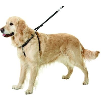 Imbracatura Easy Walker Flamingo per Cani - Regolabile 40-58cm Imbracatura Easy Walker Flamingo per Cani - Regolabile 40-58cm