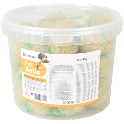 Nourriture pour Oiseaux - 35 Boules de Graisse en Seau - Aide Hivernale Nourriture pour Oiseaux - 35 Boules de Graisse en Seau - Aide Hivernale