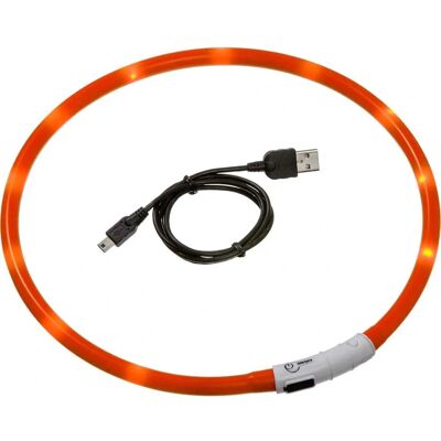 Collare LED per cani Flamingo - Regolabile 70cm - Sicurezza & Stile Collare LED per cani Flamingo - Regolabile 70cm - Sicurezza & Stile