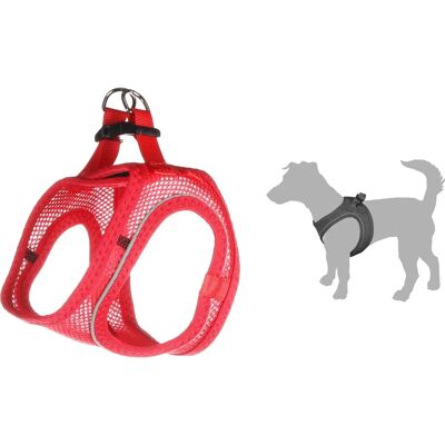 Flamingo Bento Hundegeschirr - Reflektierend, Verstellbar, XS Flamingo Bento Hundegeschirr - Reflektierend, Verstellbar, XS