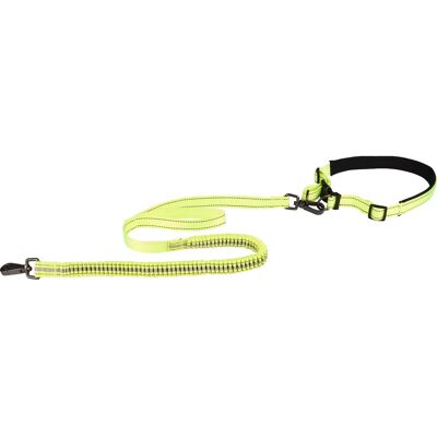 Guinzaglio Riflettente per Cani Diran - Cintura regolabile 118cm Guinzaglio Riflettente per Cani Diran - Cintura regolabile 118cm