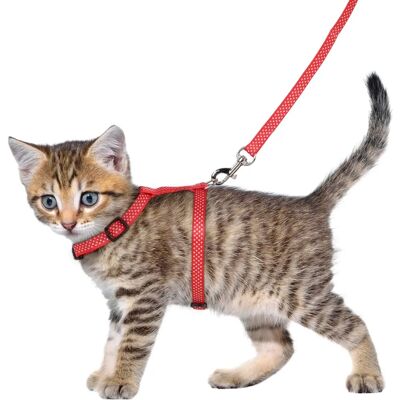 Set Collare e Guinzaglio per Gatto Flamingo - Regolabile, Lavabile a Mano - Belgio Set Collare e Guinzaglio per Gatto Flamingo - Regolabile, Lavabile a Mano - Belgio