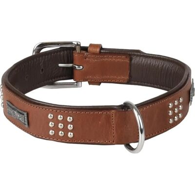 Collier en Cuir Sedona pour Chien - Accessoire Canin - Publicité Collier en Cuir Sedona pour Chien - Accessoire Canin - Publicité