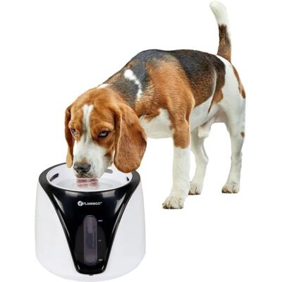 Flamingo Productos para Mascotas Fuente - Dispensador de agua Adriana - 2L - Bebedero para mascotas Flamingo Productos para Mascotas Fuente - Dispensador de agua Adriana - 2L - Bebedero para mascotas