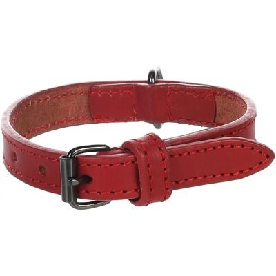 Collare in Pelle Flamingo Denver per Cani - Piccolo, Rosso, 15mm, 24-30cm Collare in Pelle Flamingo Denver per Cani - Piccolo, Rosso, 15mm, 24-30cm