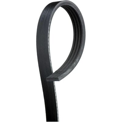 Gates V-ribbed hihna 4PK695SF - V-hihna Gates V-ribbed hihna 4PK695SF - V-hihna