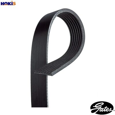 GATES 7PK1050EST Poly-V Keilriemen - Keilriemen GATES 7PK1050EST Poly-V Keilriemen - Keilriemen