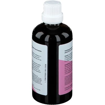 Purasana Echinacea Forte - Immunfördernde Tropfen 100ml Purasana Echinacea Forte - Immunfördernde Tropfen 100ml