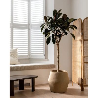 Serax Grande Vaso Beige 50cm - Pianta da Interno Serax Grande Vaso Beige 50cm - Pianta da Interno