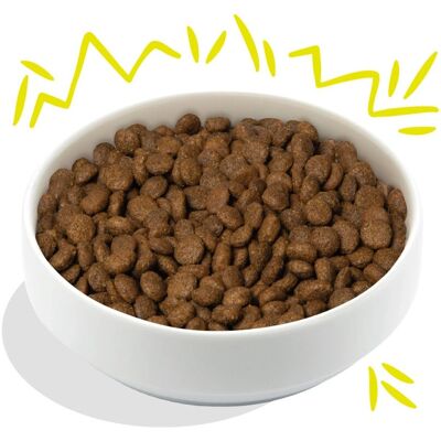 Comida para perros vegetal Edgard y Cooper con zanahoria y calabacín - Comida para perros Comida para perros vegetal Edgard y Cooper con zanahoria y calabacín - Comida para perros