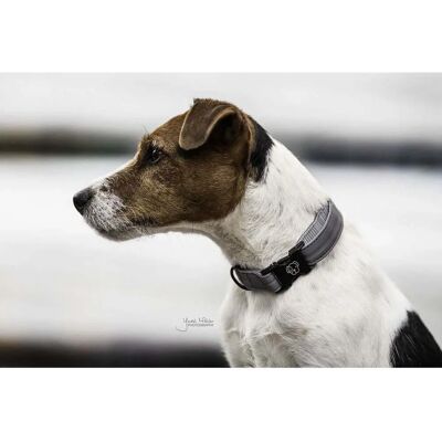 Kentucky Dogwear - Reflective - Grau - Hundehalsband Kentucky Dogwear - Reflective - Grau - Hundehalsband