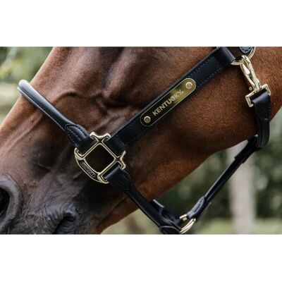 Kentucky Horsewear Lederhalfter Anatomic Cob Schwarz - Halfter Kentucky Horsewear Lederhalfter Anatomic Cob Schwarz - Halfter