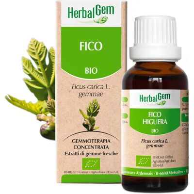 Herbalgem Gotas de Higo Bio - Apoyo Digestivo Extracto de Higuera Orgánico Herbalgem Gotas de Higo Bio - Apoyo Digestivo Extracto de Higuera Orgánico
