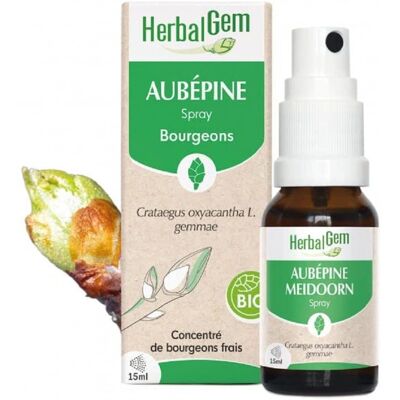 Herbalgem Bio Holzbeerenspray - Nahrungsergänzung Herbalgem Bio Holzbeerenspray - Nahrungsergänzung