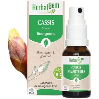 HERBALGEM Bio Cassis Ergänzung - 15ml Spray HERBALGEM Bio Cassis Ergänzung - 15ml Spray
