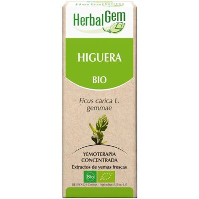 Herbalgem Spray di Fico Bio - Supporto Digestivo e Nervoso Herbalgem Spray di Fico Bio - Supporto Digestivo e Nervoso