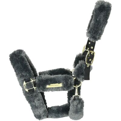 Kentucky Horsewear Transporthalfter Lammfell Nylonhalfter - Pferdehalfter Kentucky Horsewear Transporthalfter Lammfell Nylonhalfter - Pferdehalfter