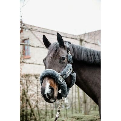 Kentucky Horsewear Transportschlaufe mit Lammfellpolster - Pferdehalfter Kentucky Horsewear Transportschlaufe mit Lammfellpolster - Pferdehalfter